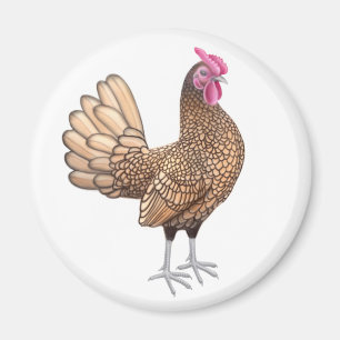 Sebright Bantam Rooster Round Magnet Magneet