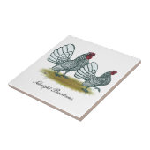 Sebright Bantams: zilver Tegeltje (Zijkant)