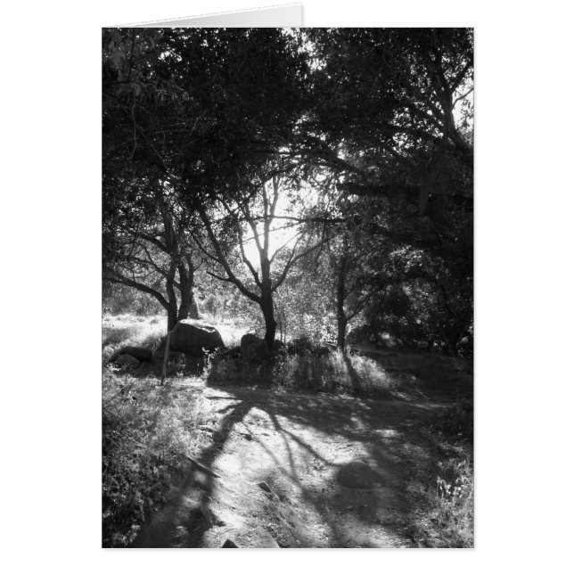 Seclusiekaart (Voorkant)