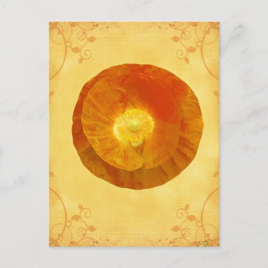 Second Chakra Gifts Briefkaart (Voorkant)