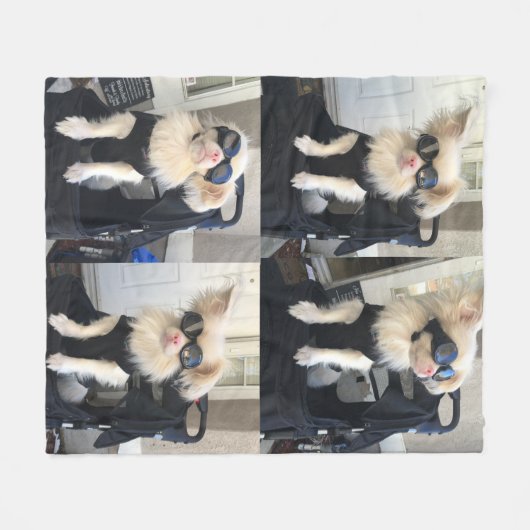 Seconde chance chanceuse au milieu de couverture (Devant (Horizontal))