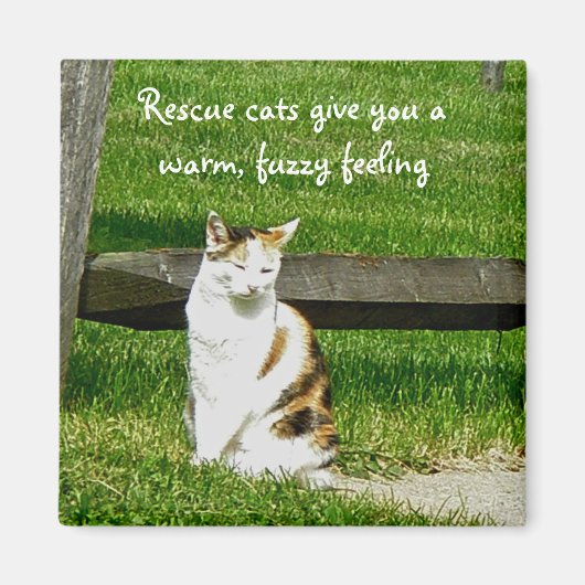Secourez les chats pour vous donner un aimant chau (Devant)
