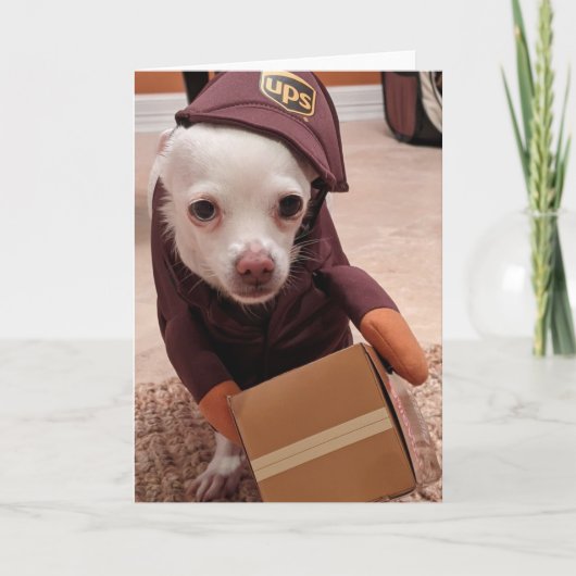 Secourez les chiens standard, carte de voeux pliée (Devant)