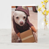 Secourez les chiens standard, carte de voeux pliée (Fleur jaune)