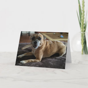 Secourez les chiens standard, carte de voeux pliée