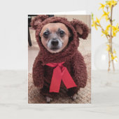 Secourez les chiens standard, carte de voeux pliée (Fleur jaune)