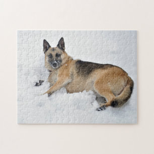 Secourir berger allemand dans Puzzle de neige