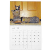 Secourir le calendrier Cat - Édition 4 (Mar 2027)