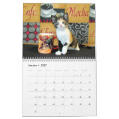 Secourir le calendrier Cat - Édition 5 (Jan 2027)