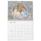 Secourir le calendrier Cat - Édition 5 (Mar 2027)
