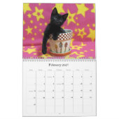 Secourir le calendrier Cat - Édition 6 (Feb 2027)