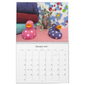 Secourir le calendrier Cat - Édition 7 (Jan 2027)