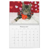 Secourir le calendrier Cat - Édition 7 (Feb 2027)