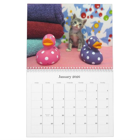 Secourir le calendrier Cat - Édition 7 (Jan 2026)