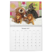 Secourir le calendrier Cat - Édition 8 (Jan 2027)