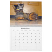 Secourir le calendrier Cat - Édition 8 (Feb 2027)
