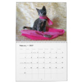 Secourir le calendrier des chats — Édition 3 (Feb 2027)