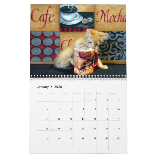 Secourir le calendrier des chats — Édition 3 (Jan 2026)