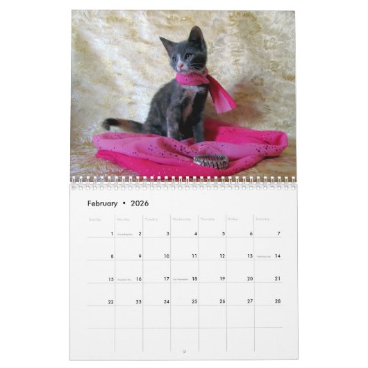Secourir le calendrier des chats — Édition 3 (Feb 2026)