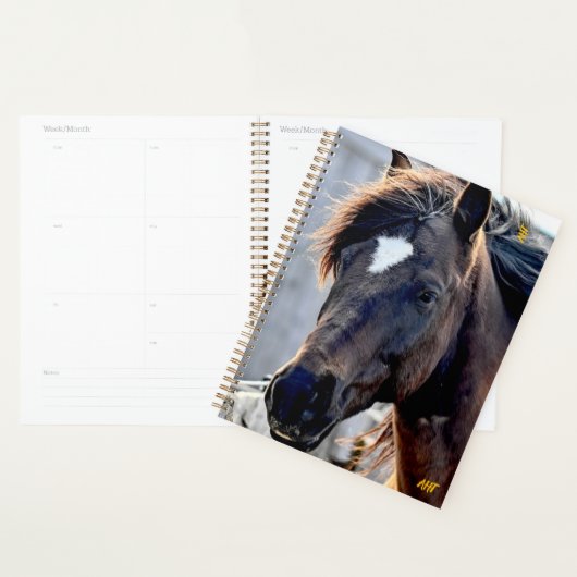 Secourt Cheval AHT (Devant avec enveloppe)