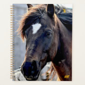 Secourt Cheval AHT (Devant)