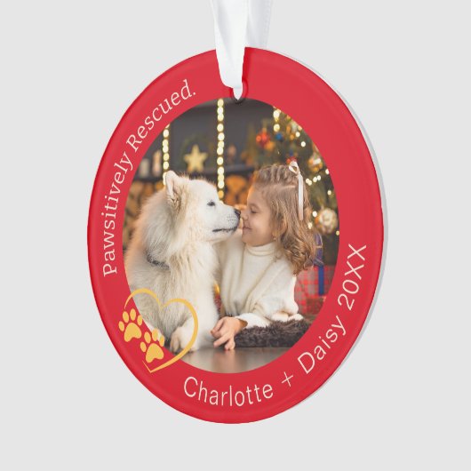 Secouru de façon péremptoire Chien de compagnie ph (devant)