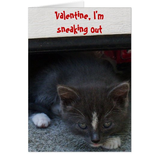 SECRET ADMIRER VALENTINE KITTY card (Devant)