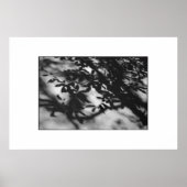 Secret Garden Poster (Voorkant)