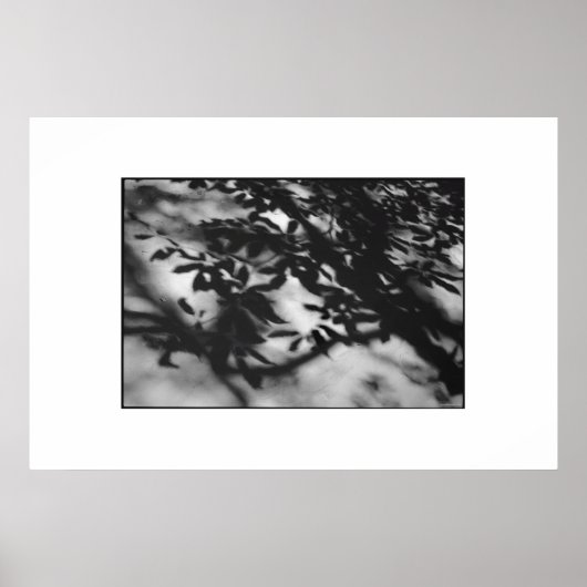 Secret Garden Poster (Voorkant)