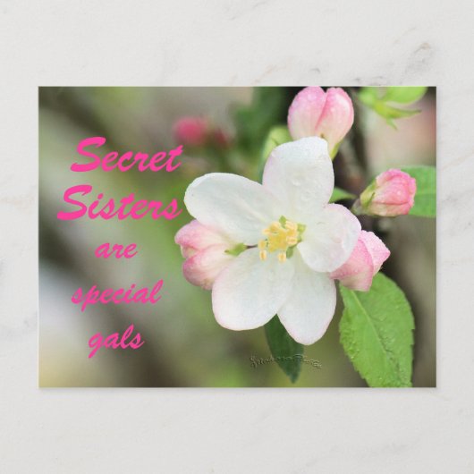 Secret Sister Apple Blossom Briefkaart - aanpassen (Voorkant)