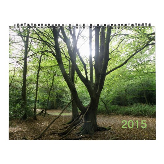 Secret Wild London 2015 Calendrier (Protection)