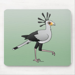 Secretaris Bird Muismat
