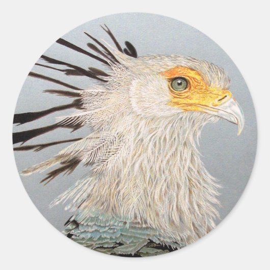 Secretaris Bird Ronde Sticker (Voorkant)