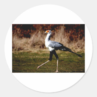 Secretaris Bird Ronde Sticker