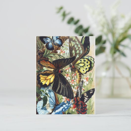 sectie-illustratie briefkaart (Staand voorkant)