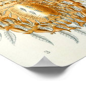  sectie-illustratie poster (Hoek)