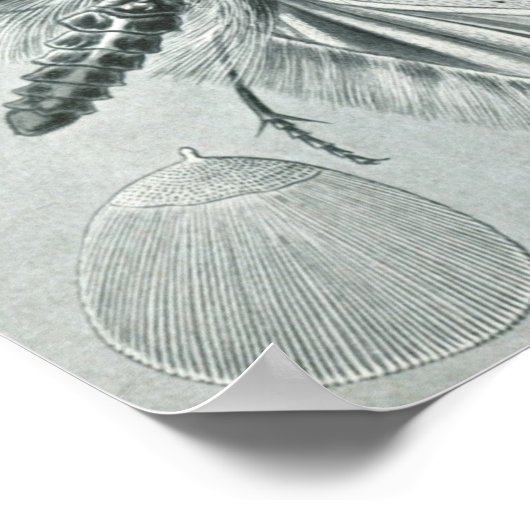 sectie-illustratie poster (Hoek)