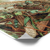  sectie-illustratie poster (Hoek)