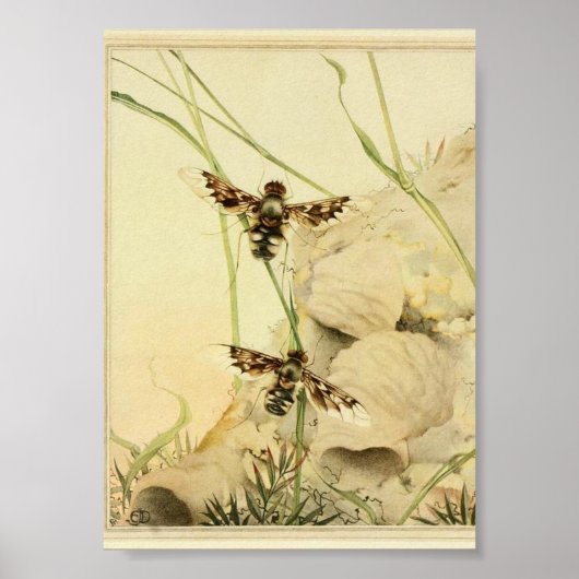 sectie-illustratie poster (Voorkant)