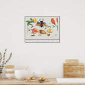  sectie-illustratie poster (Keuken)