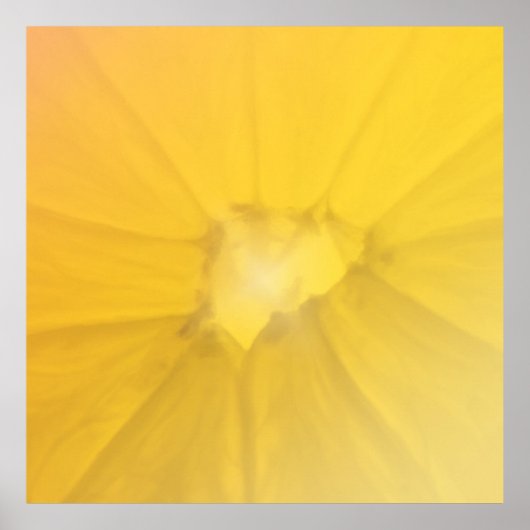 Sectie Lemon Poster (Voorkant)