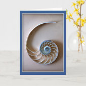 sectie van de Nautilus-shell Kaart (Gele Bloem)