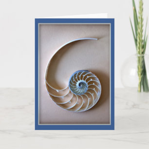 sectie van de Nautilus-shell Kaart
