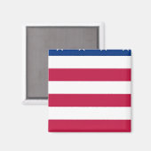 section 5 de 8 sections - DRAPEAU US - Aimant (Recto/Verso)