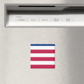 section 5 de 8 sections - DRAPEAU US - Aimant (In Situ (Lave-vaisselle))