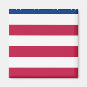 section 5 de 8 sections - DRAPEAU US - Aimant