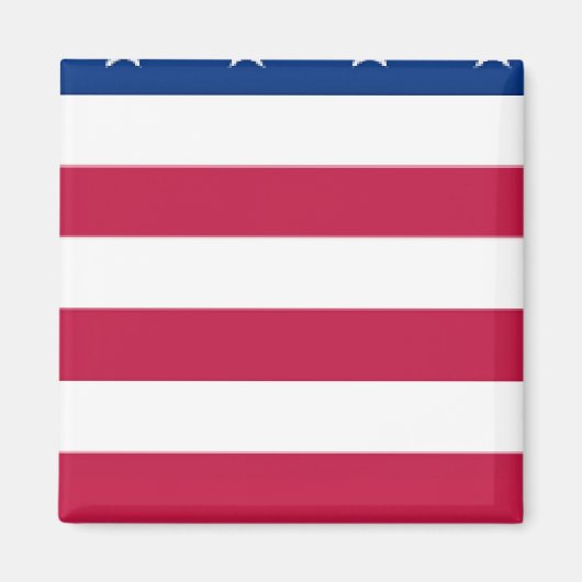 section 5 de 8 sections - DRAPEAU US - Aimant (Devant)