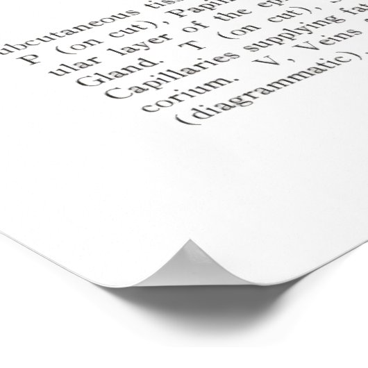 Section de la peau Impression anatomique 2. (Coin)