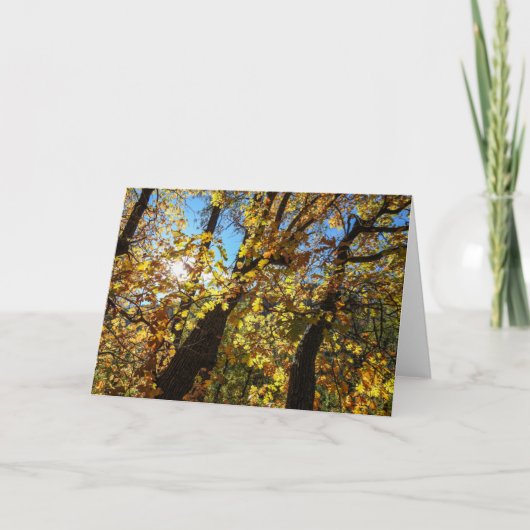 Sedona Autumn Notecard Kaart (Voorkant)