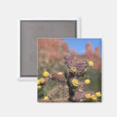Sedona Cactus Désert Magnet (Recto/Verso)